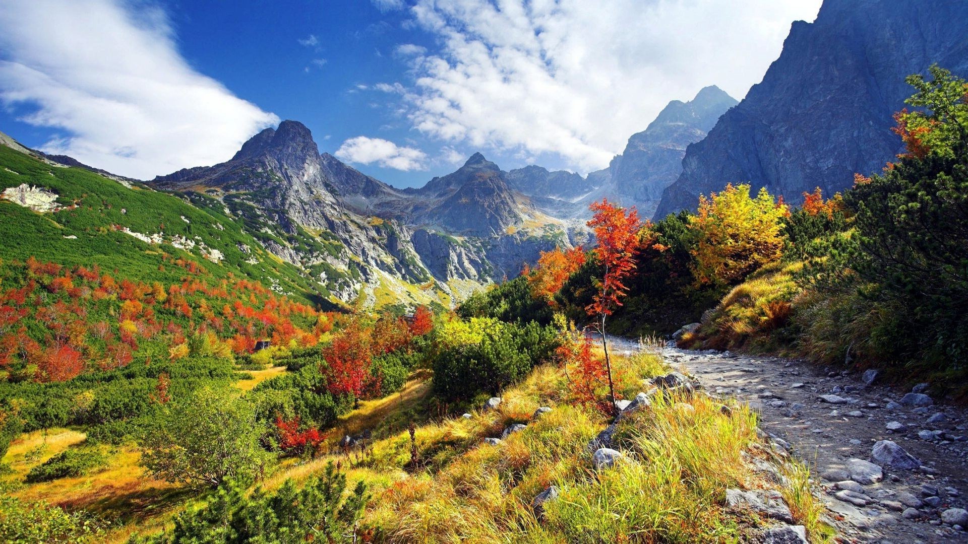 Enter the colorful country under the Tatras | mushroom magazine