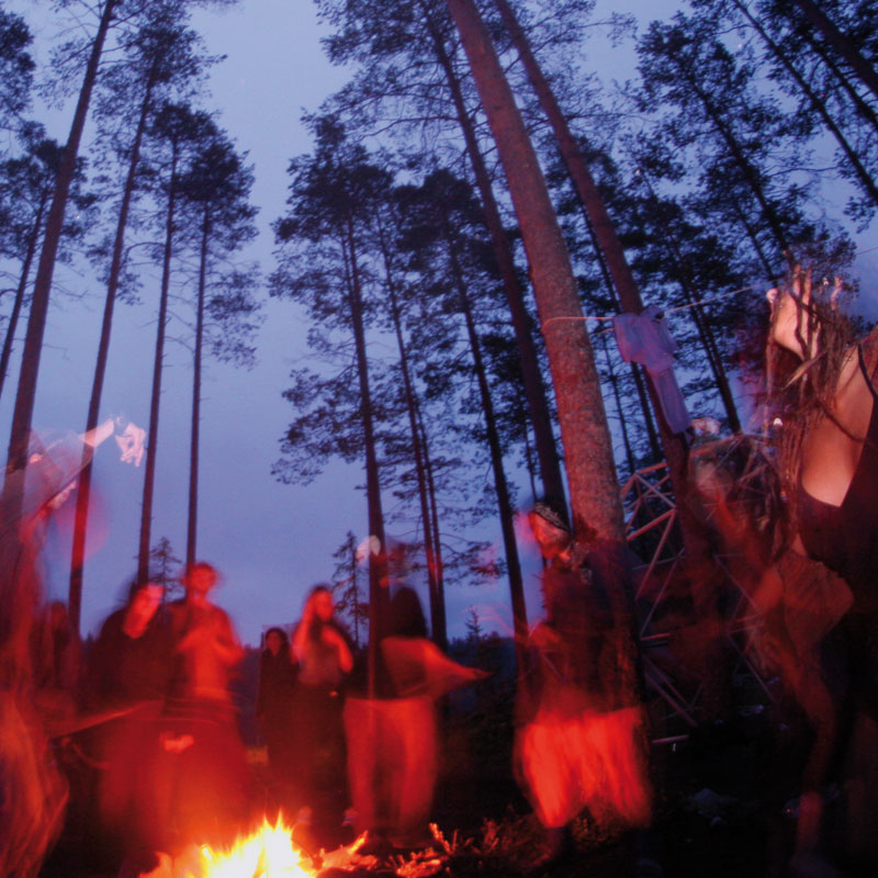 Psychedelic Trance scene in Sverge . Discover the magic of the Swedish forest!