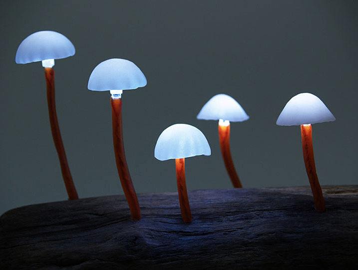 Lamps: Stunning Mushroom LED Lights