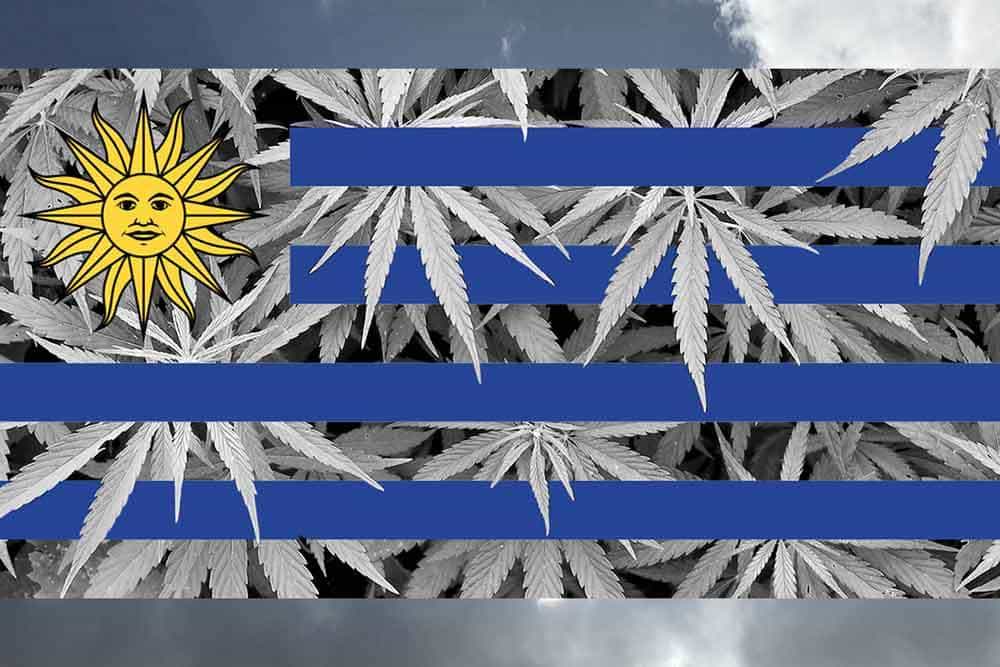 uruguay cannabis flagge