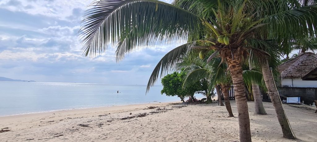 Tropischer Traumstrand mit Palmen und Strandhaus